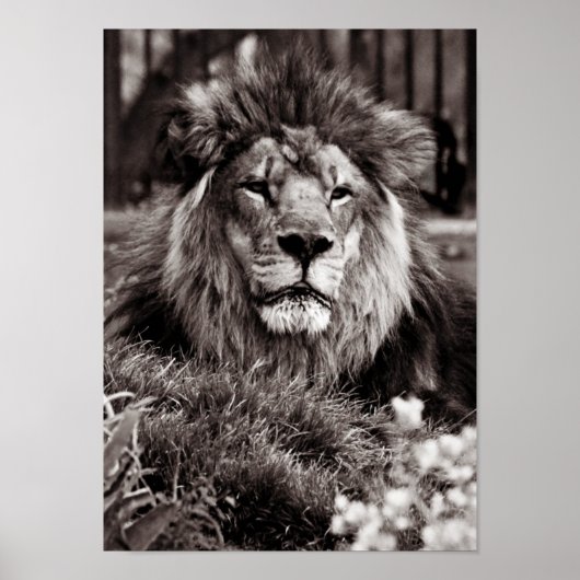 誇りを持った ポスター (正面)