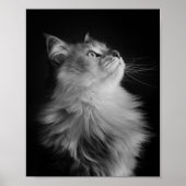 誇りを持った ポスター (正面)