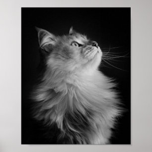 誇りを持った ポスター