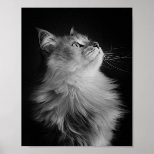 誇りを持った ポスター (正面)