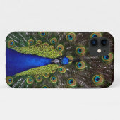 誇りを持ったPeacock iPhoneケース Case-Mate iPhoneケース (裏面(横))