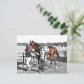 誇張する ポストカード (スタンド正面)