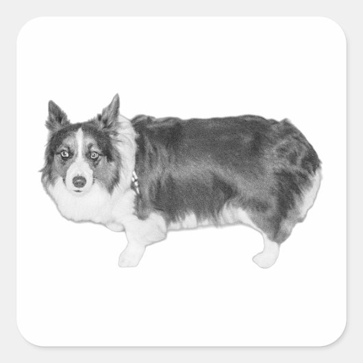 認定スナックスカウト スクエアシール (正面)