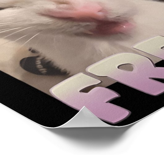 認定フリークキャットミームミーム攻撃ミームファン ポスター (角)