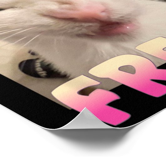 認定フリーク猫ミーム攻撃ミームおもしろい猫 ポスター (角)