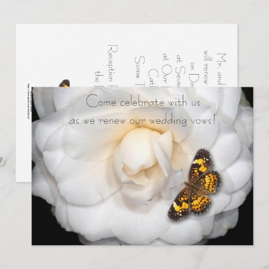 誓結婚いの更新 招待状 (正面/裏面)