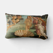 誕生のガラスおもしろい枕による金星リメイク ランバークッション (裏面)