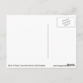 誕生のスターズコズミックポストカード ポストカード (裏面)