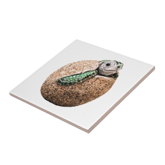 誕生の喜び タイル (側面)