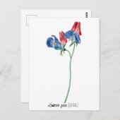 誕生デイトフラワースイートピー(4月) ポストカード (正面/裏面)