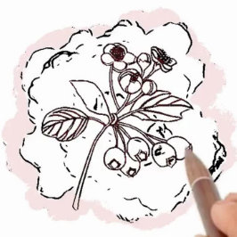 誕生フラワーホーソーンレッド考えピンク カード