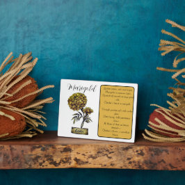 誕生フラワー10月誕生日マリゴールド フォトプラーク