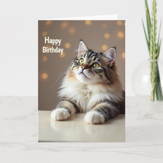 誕生日おめでとうふわふわ猫カード カード (正面)