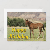 誕生日おめでとう子馬 ポストカード (正面/裏面)