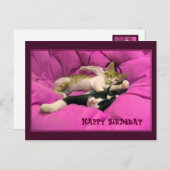 誕生日おめでとう かわいい猫ちゃんたち ポストカード (正面/裏面)