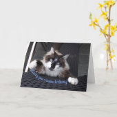 誕生日おめでとう！ カード (黄色い花)