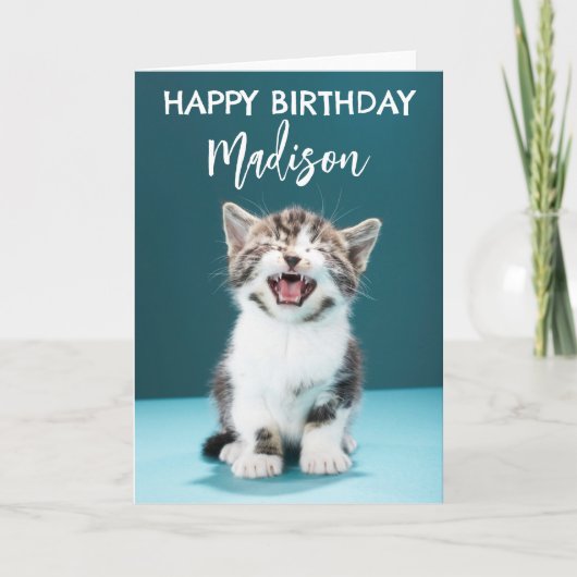誕生日おめでとう｜子猫の鳴き声 カード (正面)