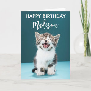 誕生日おめでとう|子猫の鳴き声 カード