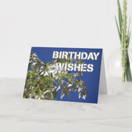 誕生日おめでとう 葉の茂るポプラの木と青空 カード