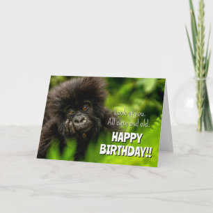 誕生日おめでとう 赤ちゃんマウンテンゴリラ カード