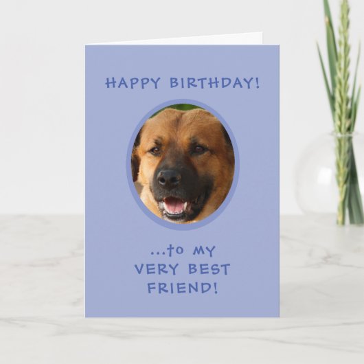 誕生日おもしろいが犬から飼い主の写真カードへ カード (正面)