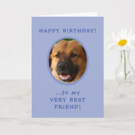 誕生日おもしろいが犬から飼い主の写真カードへ カード