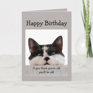 誕生日おもしろいの老後の丘、猫のユーモア カード