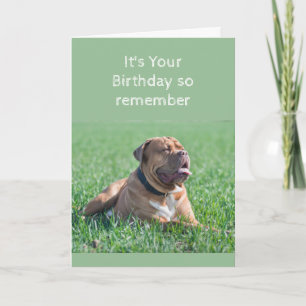 誕生日おもしろいオールド&しわの多い犬の年齢 カード