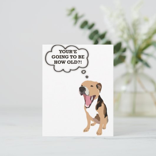 誕生日おもしろいカード シーズンカード (スタンド正面)