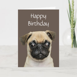 誕生日おもしろいハッピーパグ犬のユーモア カード