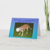 誕生日おもしろい犬がアイスクリームバケツカードに詰まる カード (正面)