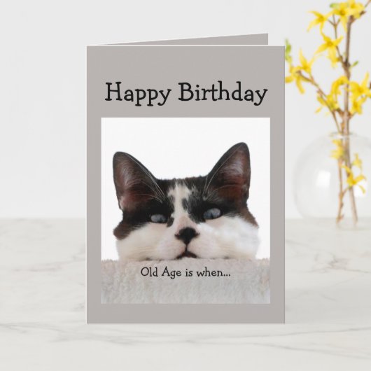 誕生日おもしろい老齢丘の上で、猫のユーモア カード (黄色い花)