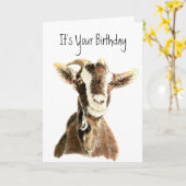 誕生日おもしろい、丘の上に、古いヤギのユーモア カード (黄色い花)
