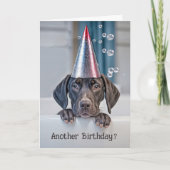 誕生日かわいいショートエアポインターパピーとパーティー カード (正面)