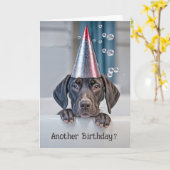 誕生日かわいいショートエアポインターパピーとパーティー カード (黄色い花)