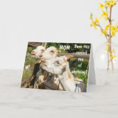 誕生日が母に祈る!カード カード (黄色い花)