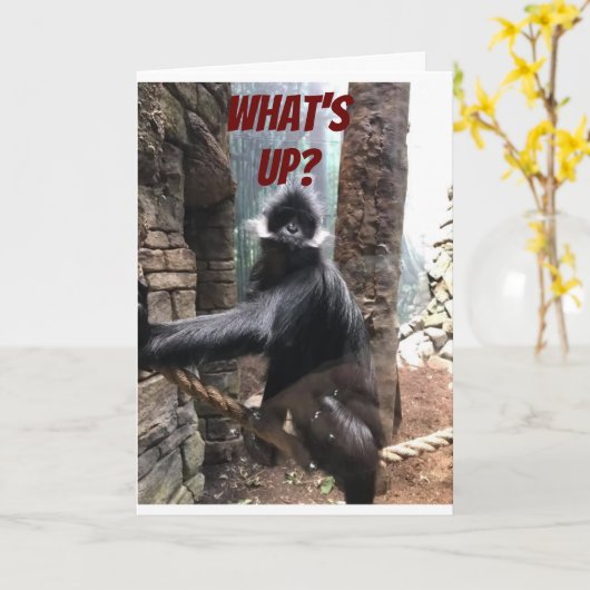 誕生日と年齢のユーモアの私の"兄お気に入りの弟" カード (黄色い花)