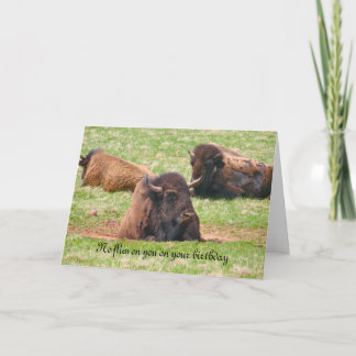 誕生日にハエはいらない – 誕生日カード カード