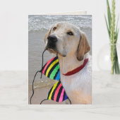 誕生日にビキニのトップを付けた犬 カード (正面)