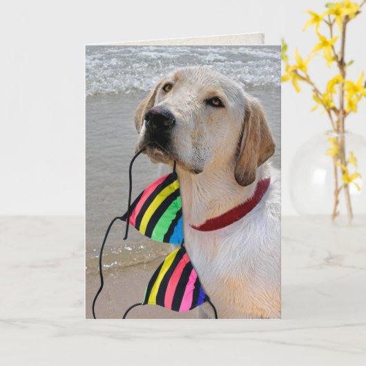 誕生日にビキニのトップを付けた犬 カード (黄色い花)