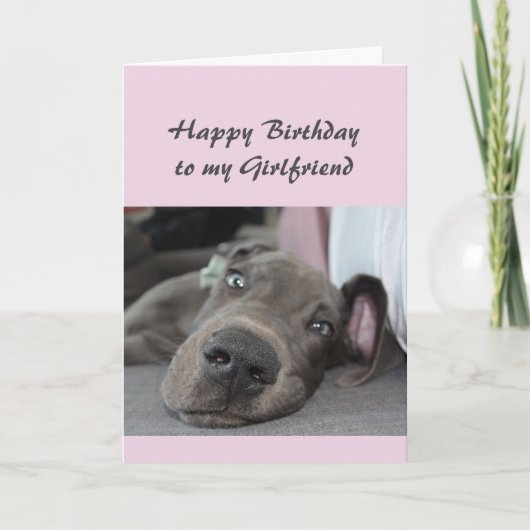 誕生日に私のガールフレンドおもしろいドッグリラックスユーモア カード (正面)