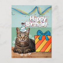 誕生日ねこポストカード