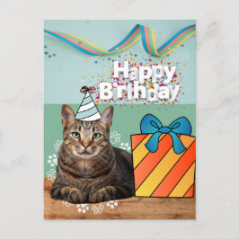 誕生日ねこポストカード ポストカード