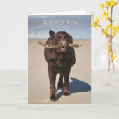 誕生日のみ カード (黄色い花)