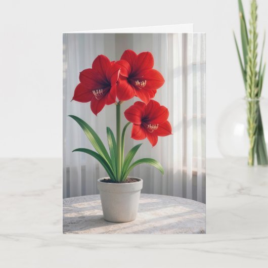 誕生日のアマリリス赤い大輪の花 カード (正面)