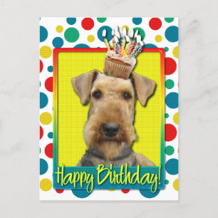 誕生日のカップケーキ- Airedale ポストカード