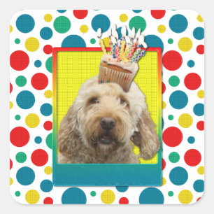 誕生日のカップケーキ- GoldenDoodle スクエアシール