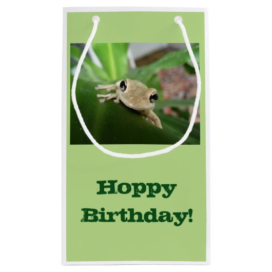 誕生日のギフトバッグ、植物のかわいく小さいカエル スモールペーパーバッグ (裏面)