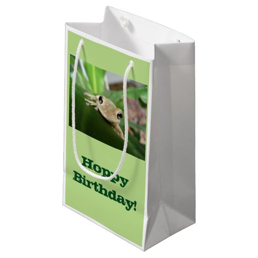 誕生日のギフトバッグ、植物のかわいく小さいカエル スモールペーパーバッグ (正面アングル)
