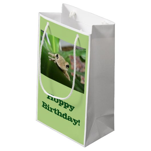 誕生日のギフトバッグ、植物のかわいく小さいカエル スモールペーパーバッグ (裏面アングル)